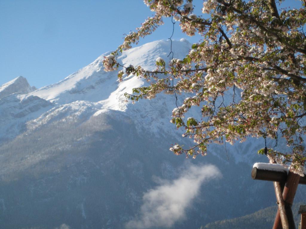 Hotel-Gasthof Nutzkaser Ramsau bei Berchtesgaden Εξωτερικό φωτογραφία